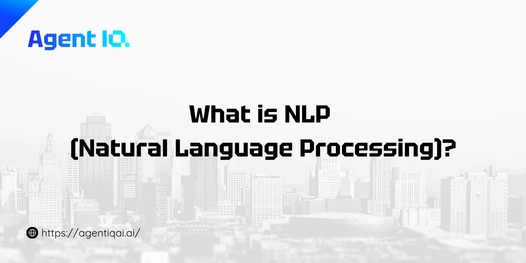 What is NLP (Natural Language Processing)?